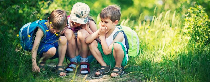 Atelier de présentation d'outils et d'échanges de pratiques "Eduquer dans et par la nature" 