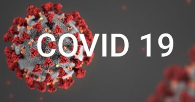 Image COVID 19.jpg