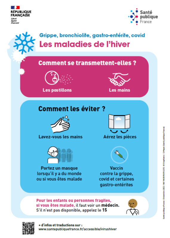 Epidémie de grippe en France