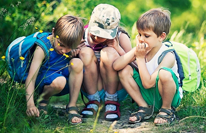 L'éducation dans et par la nature : comment et pourquoi sortir dehors en milieu scolaire et extrascolaire ?