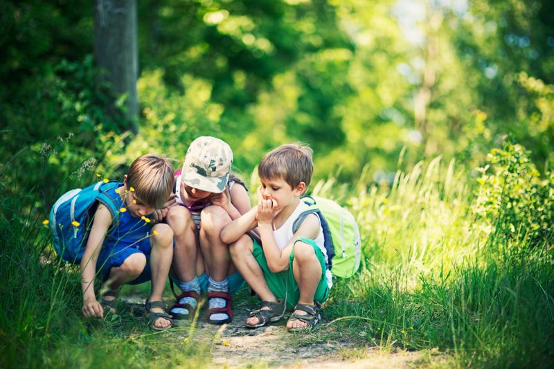 Éduquer dehors : quels liens entre nature et santé ?