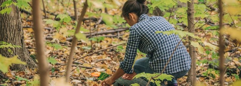 Article : Encéphalite à tiques en France : premier bilan des cas recensés par la déclaration obligatoire entre 2021 et 2023
