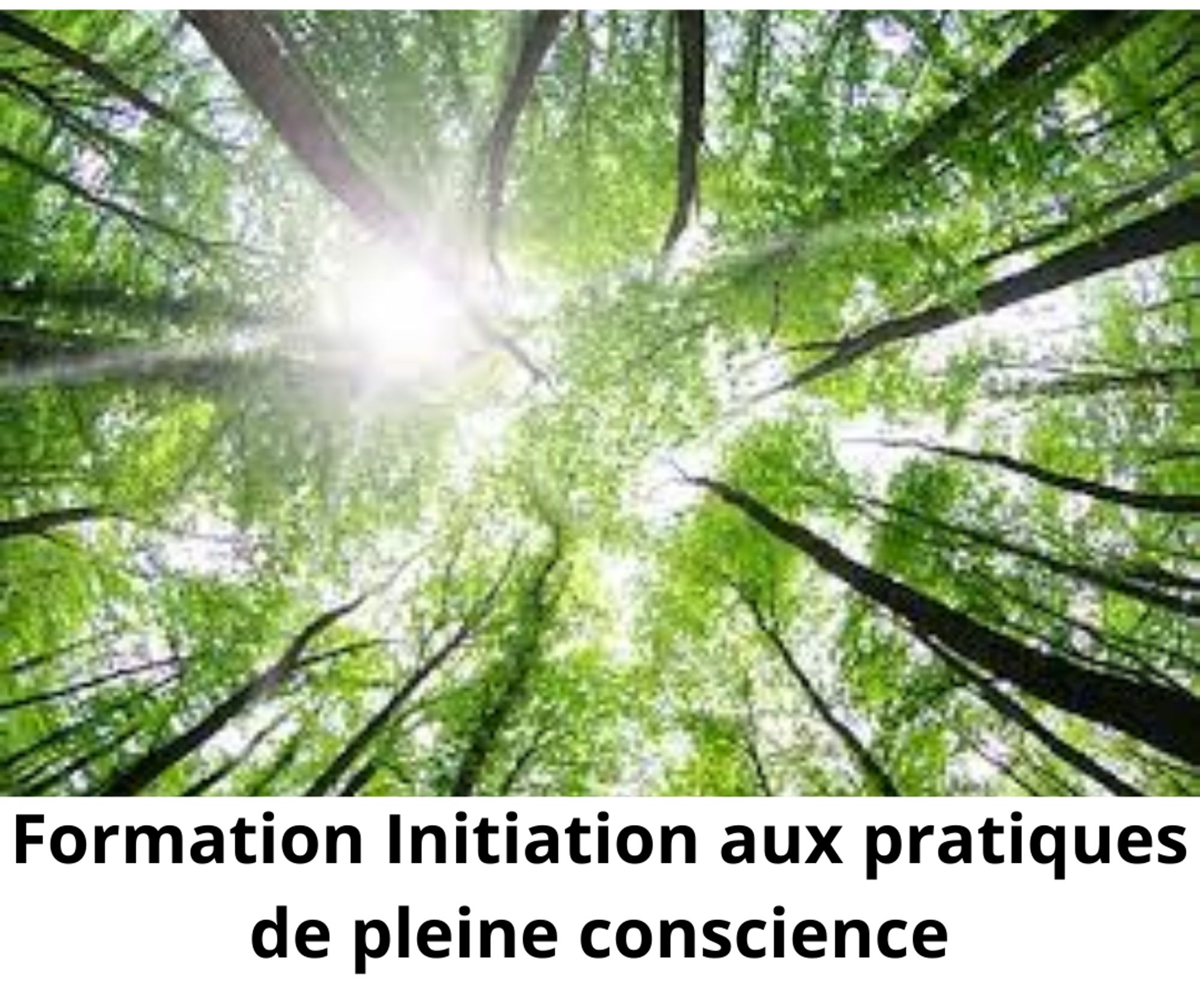 Initiation aux pratiques de pleine conscience