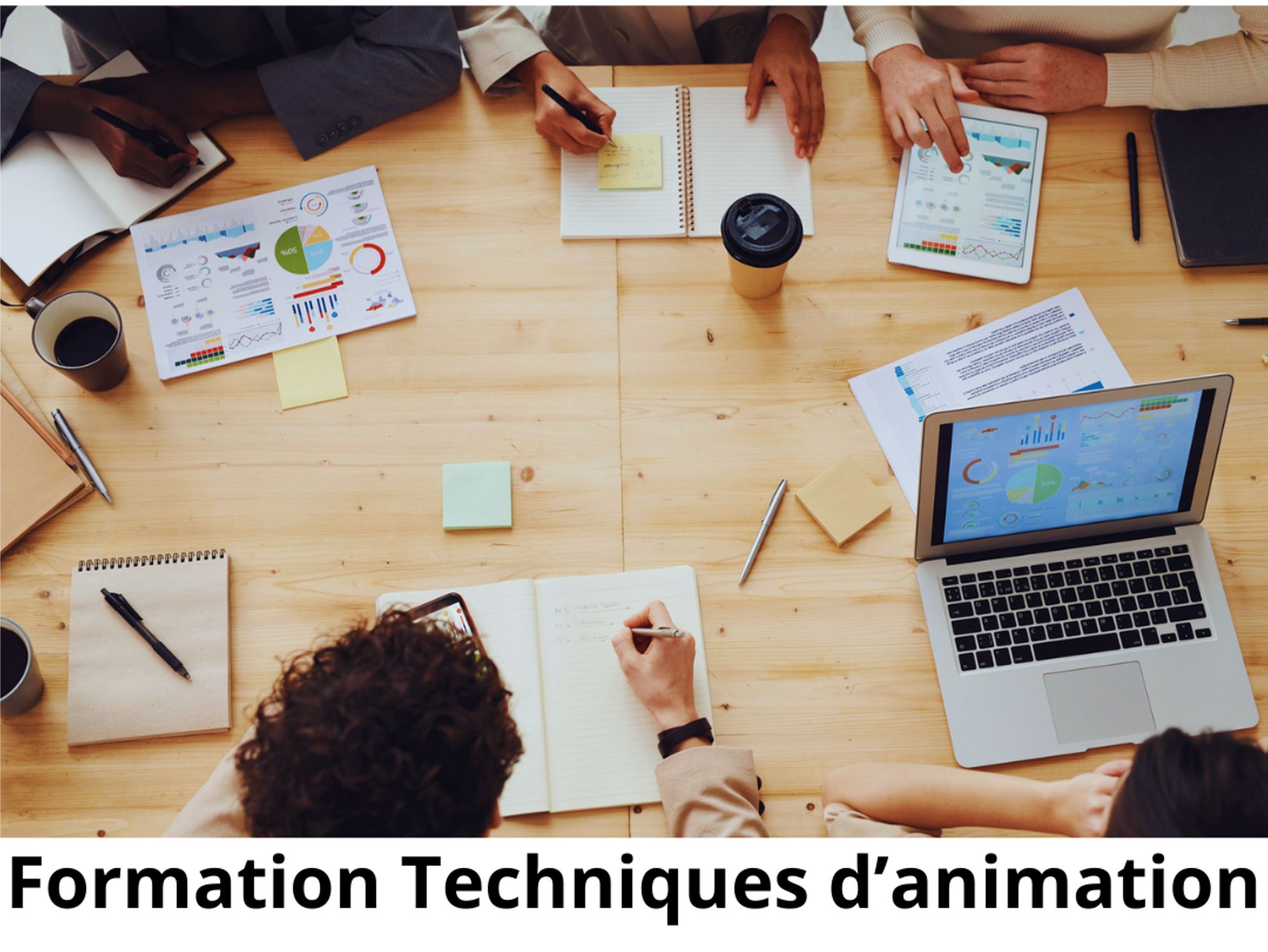 Techniques d'animation en éducation et promotion de la santé